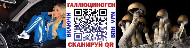 как найти закладки  Новотитаровская  Галлюциногенные грибы мухоморы 